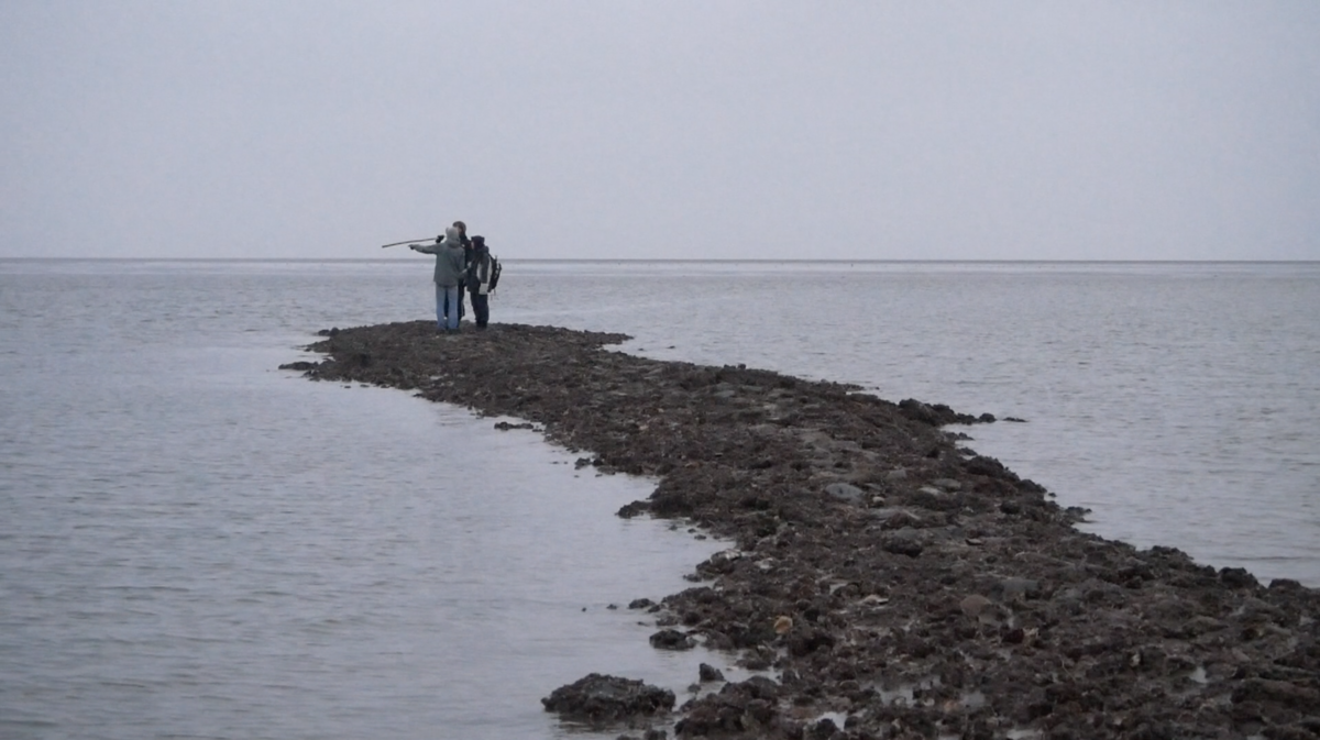 map of pots genealogy