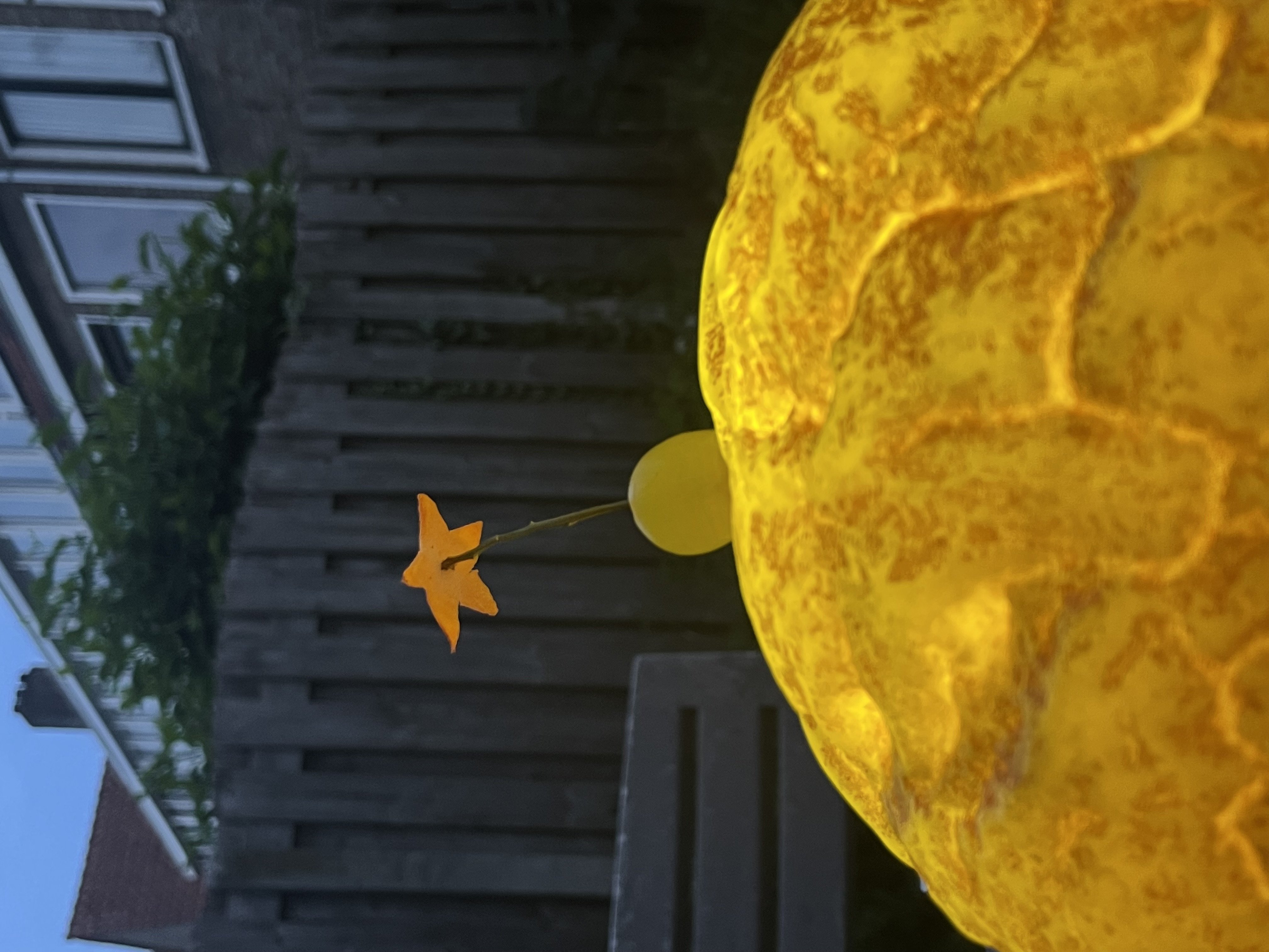 a cutlery set standing on a table