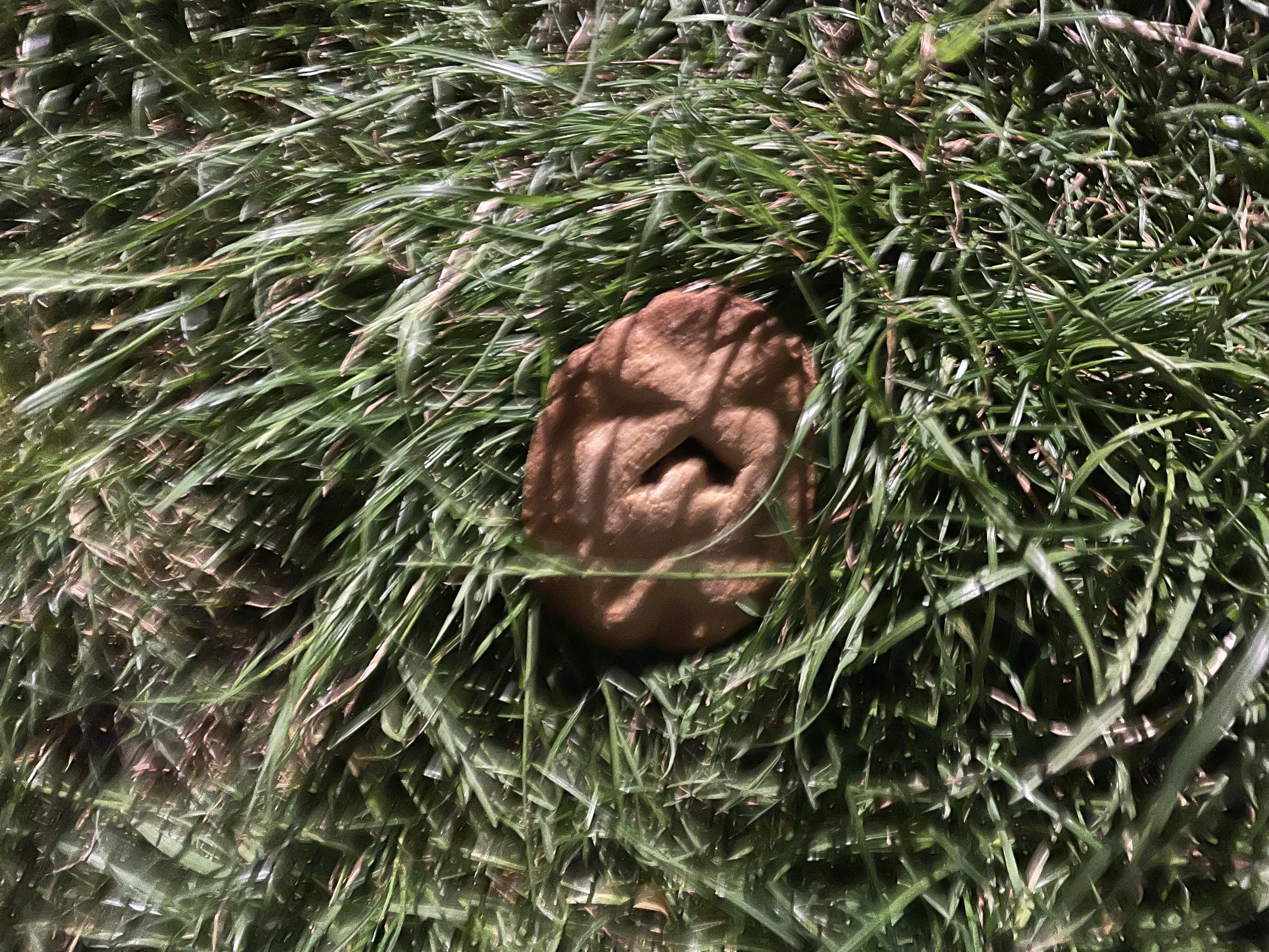 a cutlery set hanger hanged in a person hand