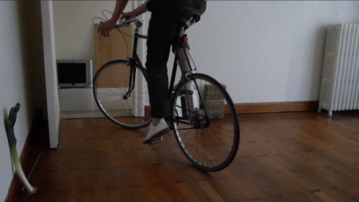 map of pots genealogy